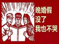 义乌市筱杵贸易商行