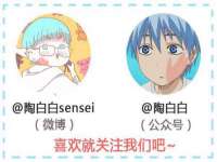 义乌市筱杵贸易商行