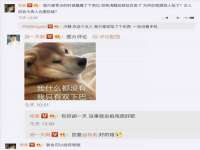 义乌市筱杵贸易商行