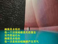 义乌市筱杵贸易商行