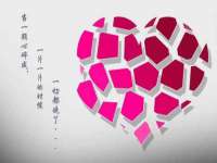 义乌市筱杵贸易商行