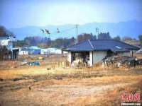 义乌市筱杵贸易商行