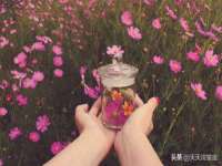 义乌市筱杵贸易商行