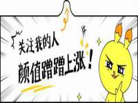 义乌市筱杵贸易商行