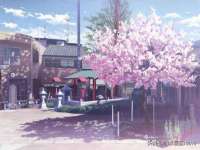 义乌市筱杵贸易商行