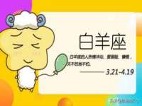 义乌市筱杵贸易商行
