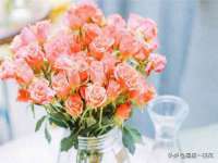 义乌市筱杵贸易商行