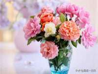 义乌市筱杵贸易商行