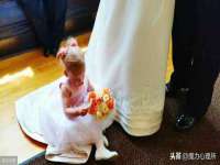 义乌市筱杵贸易商行