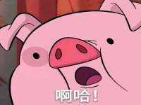 义乌市筱杵贸易商行