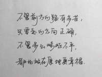 义乌市筱杵贸易商行